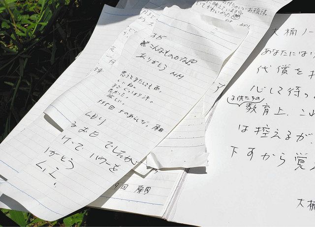 鈴鹿市長太のクスノキ 大楠ノート 破られて箱ごと盗難 中日新聞web