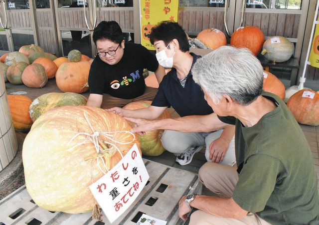 木彫りのカボチャ 実物大 巨大カボチャ 重さ当てて 七尾・高階 見栄えコンテストも：北陸中日新聞Web
