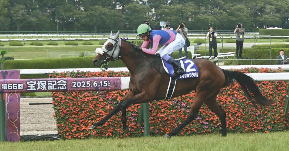 さるきち様 オーダー7枚 メイショウタバル追加 さるきち様 オーダー7枚 メイショウタバル追加 週刊Gallop公式