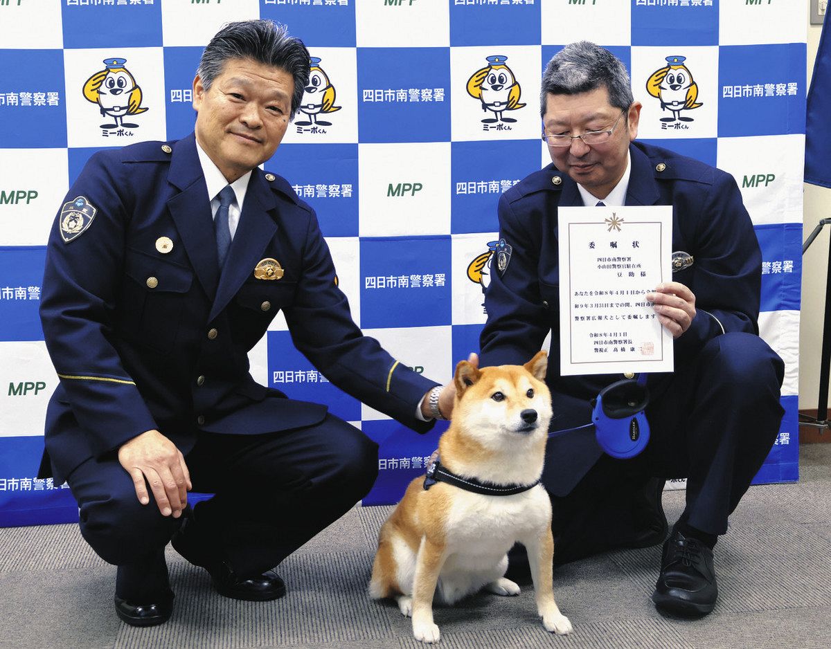 豆助」本年度もよろしく頼む 四日市南署の広報犬：中日新聞Web