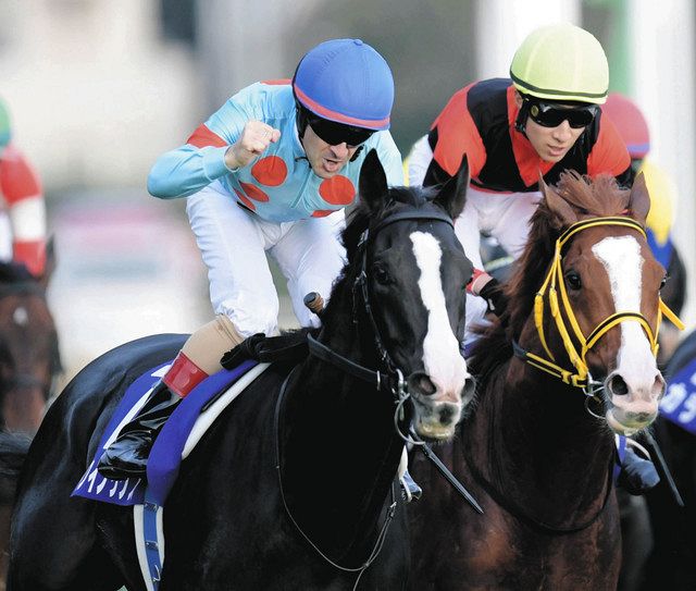 クリスマス決戦は3歳馬！？…データで見る競馬の総決算【有馬記念】：中