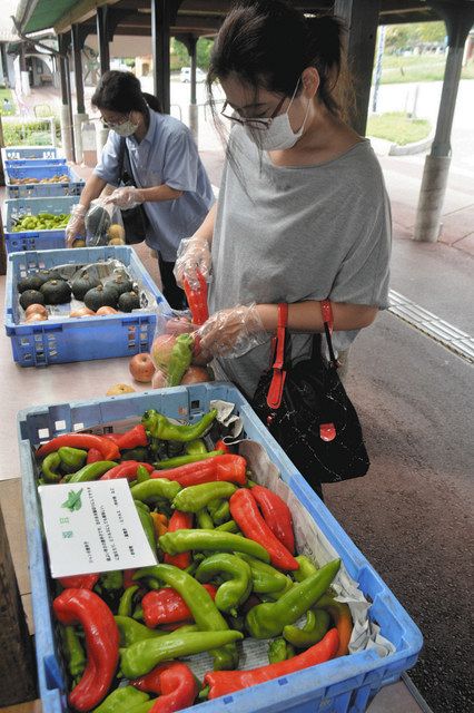 野菜詰め放題 楽しんで 伊那 みはらしファーム新企画 中日新聞web
