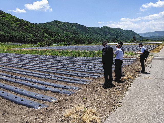長崎からお助け外国人 長野の農家に 技能実習生の不在カバー 中日新聞web 長崎からお助け外国人 長野の農家に 技能実習生の不在カバー 中日新聞web