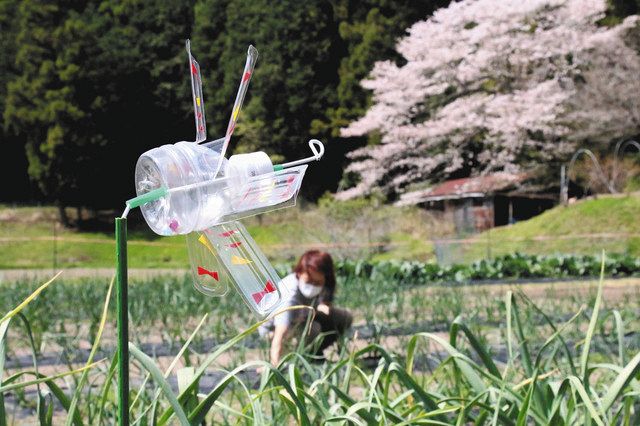 写真 中日新聞web 写真 中日新聞web