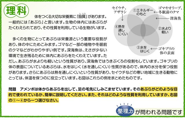 〈良問にTRY〉アメンボが体から出す「あぶら」はどんな性質？　理科　2025年・椙山女学園中の入試問題より