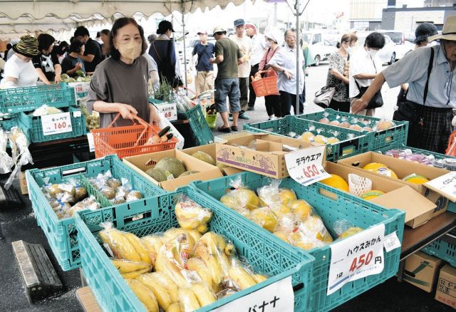 並ぶ新鮮野菜、愛されて10周年　JAあいちの「東郷ふれあい朝市」