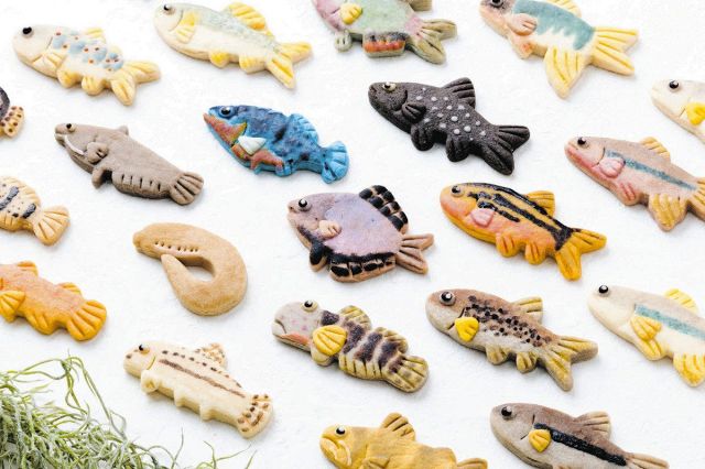 清流の地元ならでは、淡水魚がクッキーになったよ　岐阜大学の向井貴彦教授が監修、見た目は本物そっくり