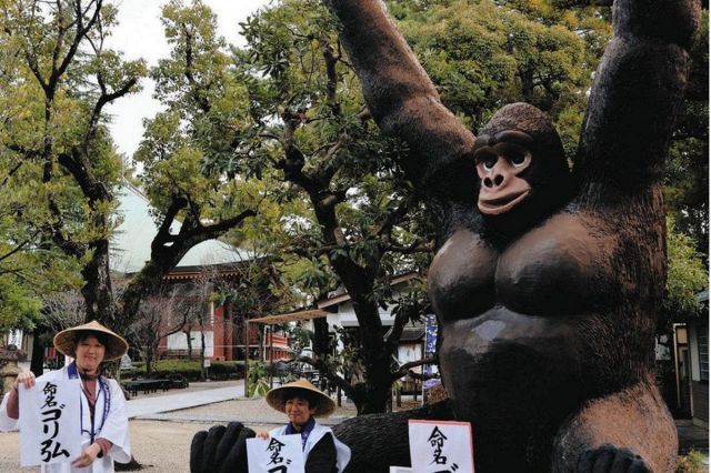 チコムのゴリラがいなくなった？引っ越し先は…　新天地での愛称は「ゴリ弘」