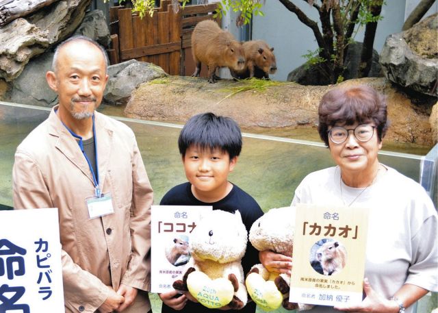 子カピバラの名は「カカオ」と「ココナ」　アクア・トトぎふで命名式
