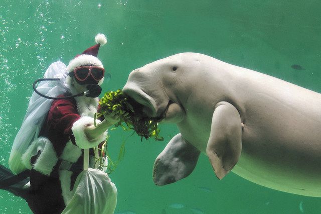 写真 中日新聞web