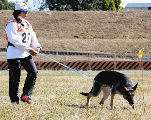 嘱託警察犬と警備犬、鋭い嗅覚3部門競う　瑞穂で審査会