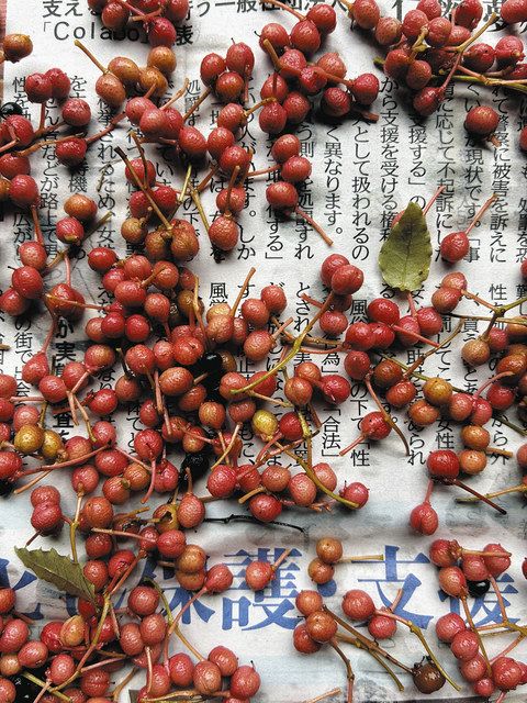 成長ってなんだろう