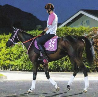 有馬記念・2006年】ディープインパクト、”クリスマスの衝撃