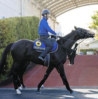 03年スティルインラブ以来の「紅梅S＆桜花賞」W勝利へ…成長中の
