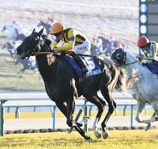 JRA賞】春秋マイルG1・2冠のジャンタルマンタルが満票で最優秀マイラー