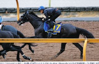 【菊花賞・枠順確定】ダービー3着バステールは3枠6番　斉藤崇師「スタートがそんなに速くないので、これぐらいの枠で良かった」