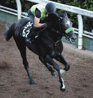 西村淳也、初のG1勝利へ騎乗4戦負け知らずのエルトンバローズとタッグ