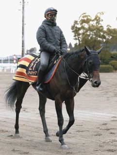 皐月賞】エフフォーリアが無傷4連勝で圧巻V「最高です」初G1制覇の横山