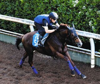 オルフェーヴル　鬣 伝説のラストランから10年…、オルフェーヴル伝説は第2章へ GⅠ第