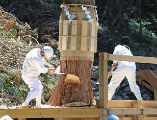 【動画】式年遷宮へ裏木曽御用材伐採式、ご神体納める「御樋代」切り出す　岐阜県中津川市