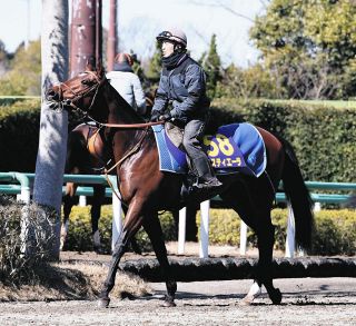 1番人気タスティエーラ、まさかの11着 松山「これだけ負ける馬ではない…何もなければいいのですが」【大阪杯】