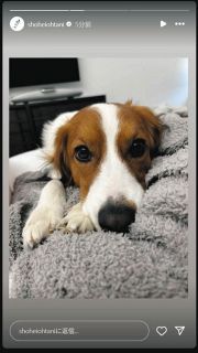 ◆大谷翔平、報復死球を受けた夜に「デコピン」ほっこり投稿【写真複数】