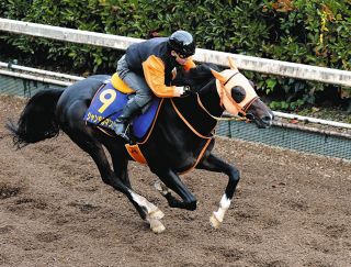 【入手困難】 スポーツ新聞　完品　スポニチ　競馬　サイレンススズカ　天皇賞　武豊 サイレンススズカと武豊「乗っていて、ほんとうにたのしくなる」…“悲劇