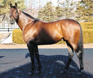 上原博之師が現役28人目のJRA通算500勝を達成、田中克典師は現役145