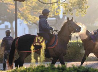 2022年のG1チャンピオンズC優勝のジュンライトボルトが引退、種牡馬