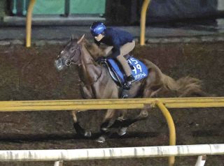 ルドルフの背 騎手 岡部幸雄 池田書店 競馬 シンボリルドルフ ルドルフの背 騎手 岡部幸雄 池田書店 競馬 シンボリルドルフ