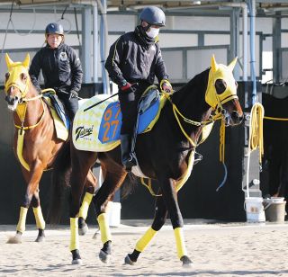 2000年のダービー馬アグネスフライトが老衰で死ぬ 26歳 ：中日スポーツ