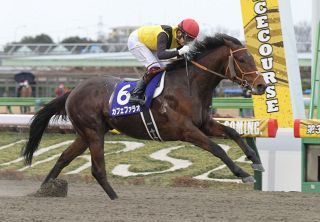 イクイノックス　ドバイシーマクラシック ドバイシーマクラシック】イクイノックスがノーステッキで圧巻の