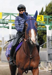 ローシャムパークは首差届かず2着　前走の香港遠征は8着も戸崎「成長して雰囲気良かった」【大阪杯】