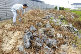 田んぼの一角、防空壕と思われていたが…　調査すると明治航空基地関連施設と判明