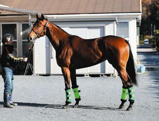 JRA重賞で300万円馬券連発！「函館記念」は15番人気が勝ち「中京記念