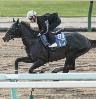 大井競馬】矢野貴之が地方競馬通算2900勝を達成 ：中日スポーツ