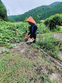 【田んぼ記者 挑戦記】（９）イノシシ電気柵で防備