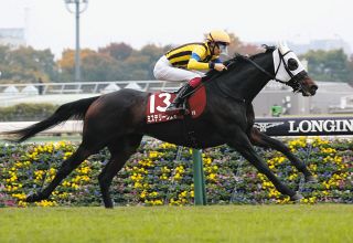 トウカイテイオーでダービー制覇、安田隆行調教師「騎手時代、調教師