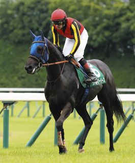 武豊インタビュー「やっぱりサイレンススズカの金鯱賞は衝撃的だった