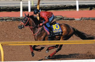 亡き父から「『いい仕事したな』と珍しく褒めてもらえた気がした