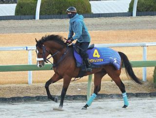 武豊インタビュー「やっぱりサイレンススズカの金鯱賞は衝撃的だった