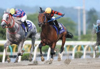 アーモンドアイが“世紀の一戦”ジャパンカップで有終の美…コン