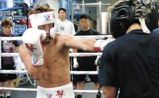 井上尚弥、5・6に東京ドームでネリ戦決定」とESPN報道 日本人