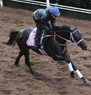 日本ダービー】1番人気クロワデュノールが快勝 3歳世代7950頭の頂点
