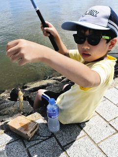 ハゼ上向き　１０センチ前後、数釣りＯＫ　ファミリーも楽しめる　愛知県半田市・亀崎海浜緑地