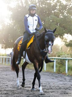 JRA小倉　オグリワン JRA小倉 オグリワン オグリワン (Oguri One) | 競走馬データ