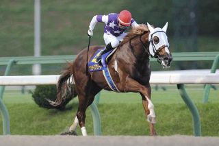 JRA 函館記念 重賞 コンプリート3点セット 農林水産省賞典 函館記念の単勝・複勝・枠連オッズ【2025年6月29