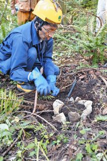 木村　好博　小皿 2025年最新】木村好博の人気アイテム - メルカリ