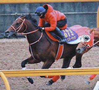 2000年のダービー馬アグネスフライトが老衰で死ぬ 26歳 ：中日スポーツ