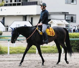 ディープインパクトは落札価格7350万円が種牡馬の価値は51億円に…ただ